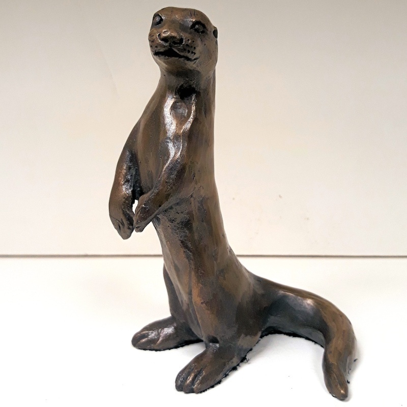Otter Standing Up