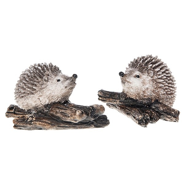 Small Country Hedgehogs