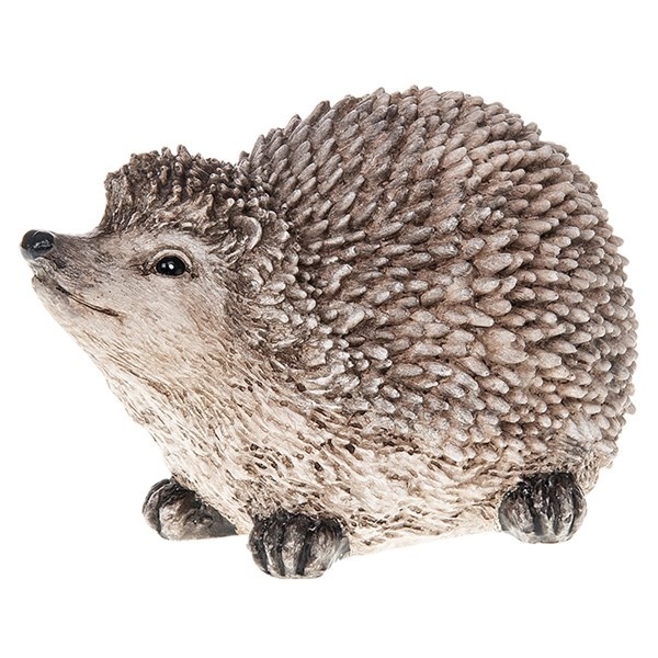 Large Country Hedgehog