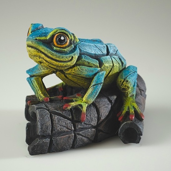 African Tree Frog - Blue & Yellow